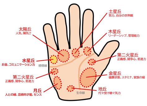 小指下方的線|手相で小指の下の線！横線や縦線や斜め線やリングの。